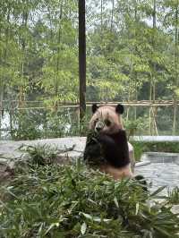 꿈과 환상의 나라 에버랜드로 오세요😁