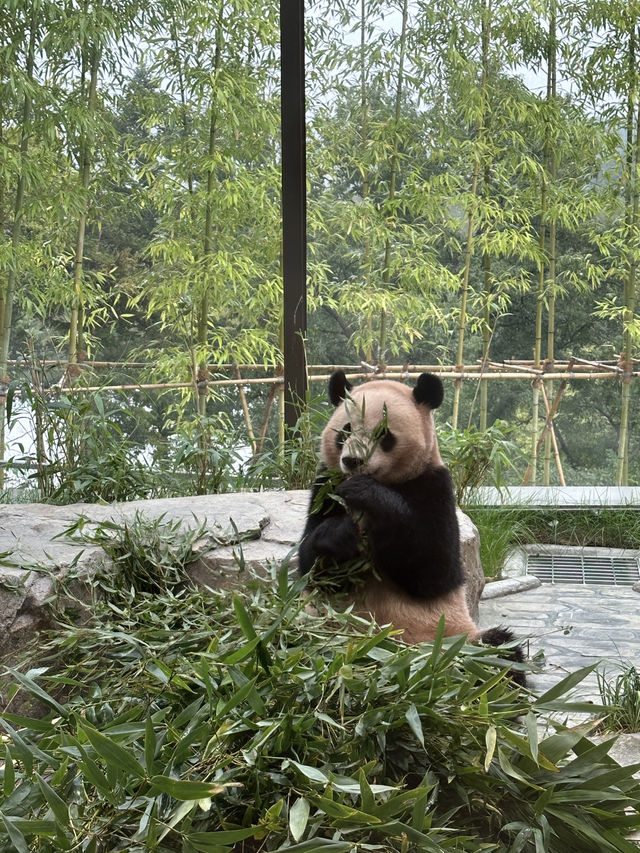 꿈과 환상의 나라 에버랜드로 오세요😁