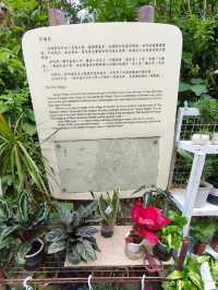 流動畫册下之【南丫島】份外浪漫又具詩意!