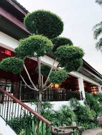 Cyberview Resort & Spa: A Tranquil Oasis of Luxury and Nature