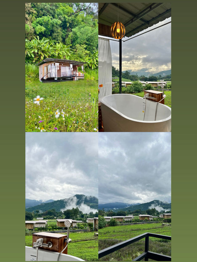 แดนดอย โฮมสเตย์ DanDoi แม่แตงเชียงใหม่ แดนดอย โฮมสเตย์ DanDoi แม่แตงเชียงใหม่