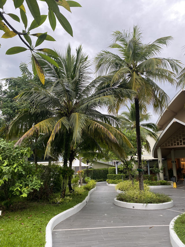 Carft Resort and Villa 🛏️🏝️ Carft Resort and Villa 🛏️🏝️