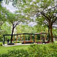 陰雨下散步櫸子洲靜謐草地  