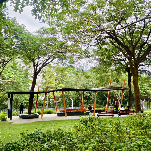 陰雨下散步櫸子洲靜謐草地  