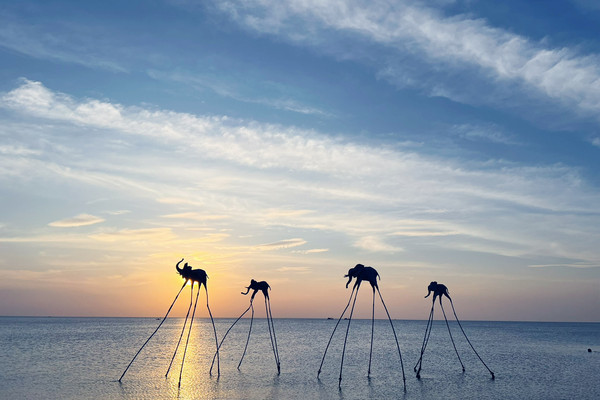 🇻🇳🏖️Sunset Sanato Beach Club — Bãi biển Sunset Sanato