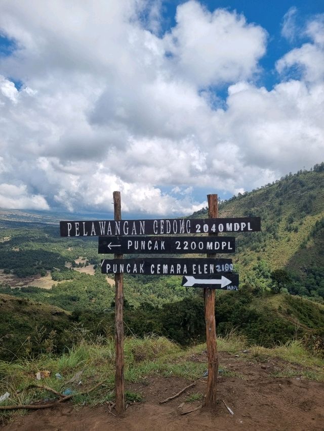 Vibrant Day Out🌸 Vibrant Day Out🌸