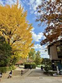 A Hidden Autumn Retreat in the Heart of Azabu