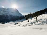 Lauberhorn race track