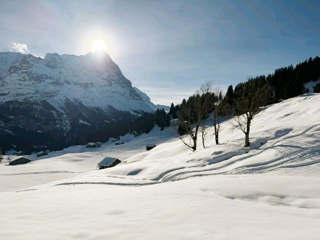 Lauberhorn race track