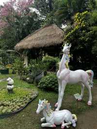 週末療癒提案！桃園雅聞魅力博覽館：迷迭香花園步道與玻璃屋植物探險 🌱