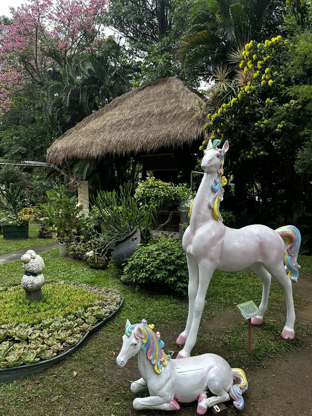 週末療癒提案！桃園雅聞魅力博覽館：迷迭香花園步道與玻璃屋植物探險 🌱
