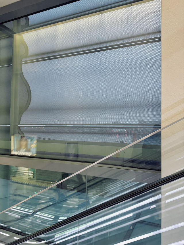 Gallery Magic✨ Gallery Magic✨