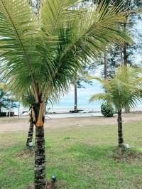 Roxy Sematan – Perfect Family Getaway in Sematan