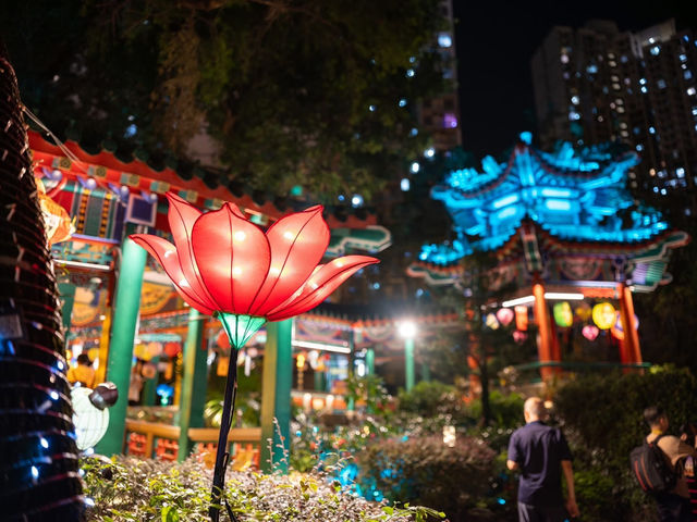 Whispers of Light at the Whispering Bamboo Whispers of Light at the Whispering Bamboo