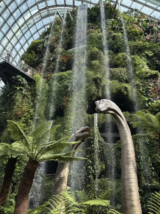 Cloud Forest Walk🌱