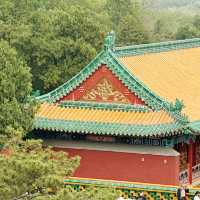 Imperial Calm ☁️