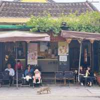 Hoi An: Lanterns, Ancient Streets & Coastal Eats – Your Wholesome Family Weekend 🏮🍜🌴