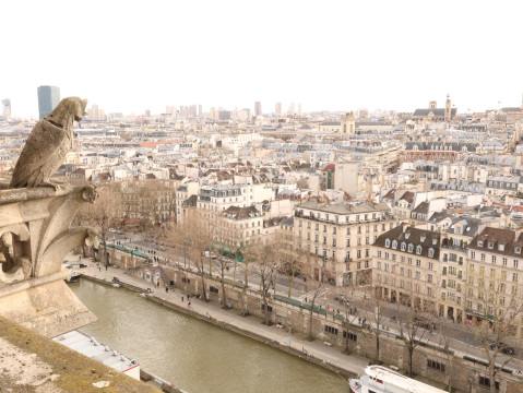 美しいパリの街並みを一望する】パリ ノートルダム塔 | Trip.com パリ