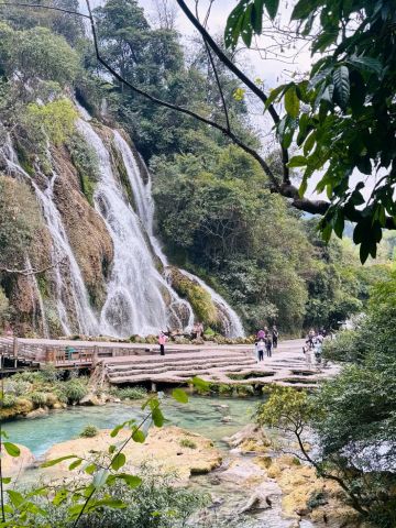 珍しい「水上の森」の風景 | Trip.com 茘波