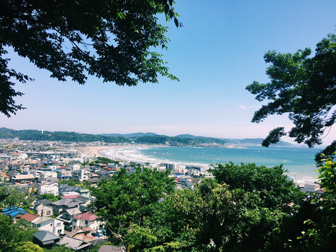 鎌倉・長谷寺のあじさい祭り｜江の島の海景色を眺めながらの散歩が最高