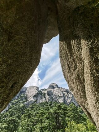 🌲 Mount Tianzhu | Where Ancient Pines Defy the Cliffs