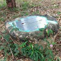 🌿✨ My Stroll at Bukit Batok Neighbourhood Park — A Peaceful West Side Escape! 🇸🇬