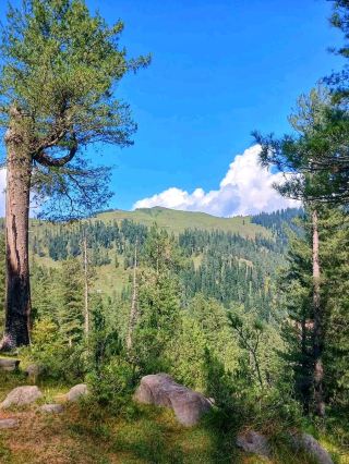 A Summer Escape to Kashmir Valley 🏔️🌿💙