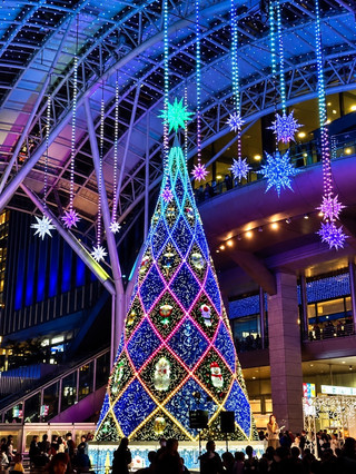 2026年福岡クリスマスイルミネーションのおすすめスポット10選。