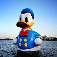 Disneyland 