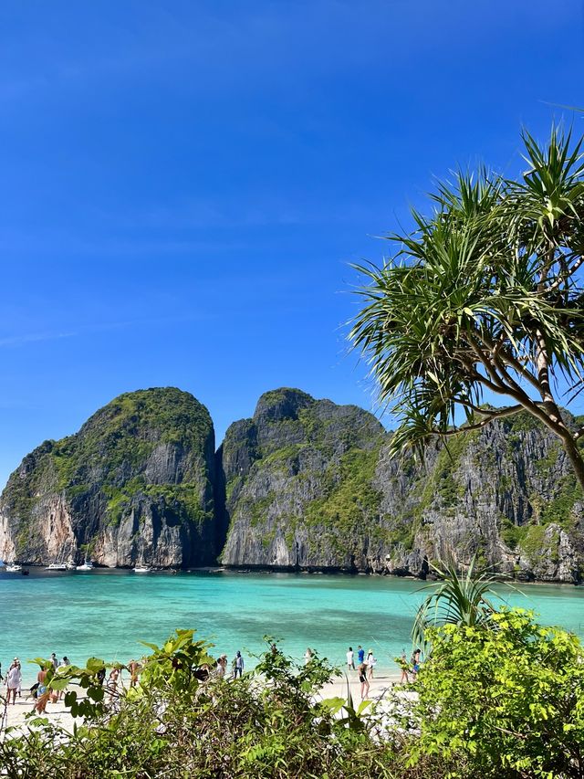 Maya Bay ✨