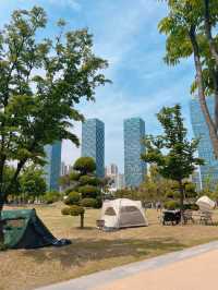 지금 나들이 가기 딱 ! 좋은 곳 뉴욕 부럽지 않은 송도 센트럴파크🌿