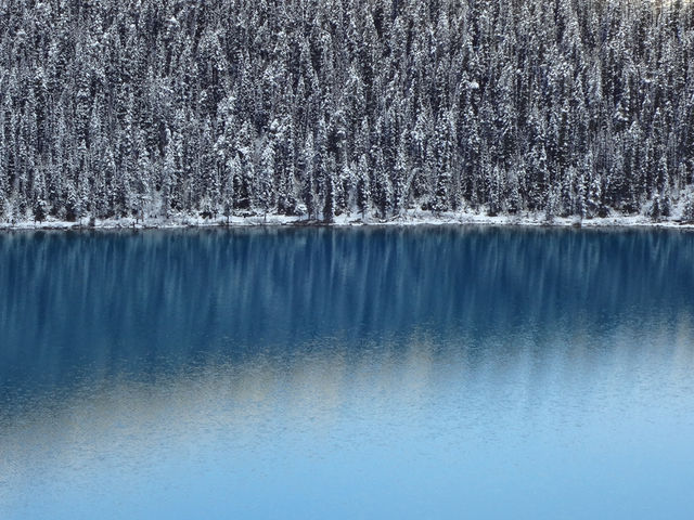 Lake Louise—A Dreamy Wonderland