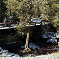 Sequoia national park just before thanksgiving 