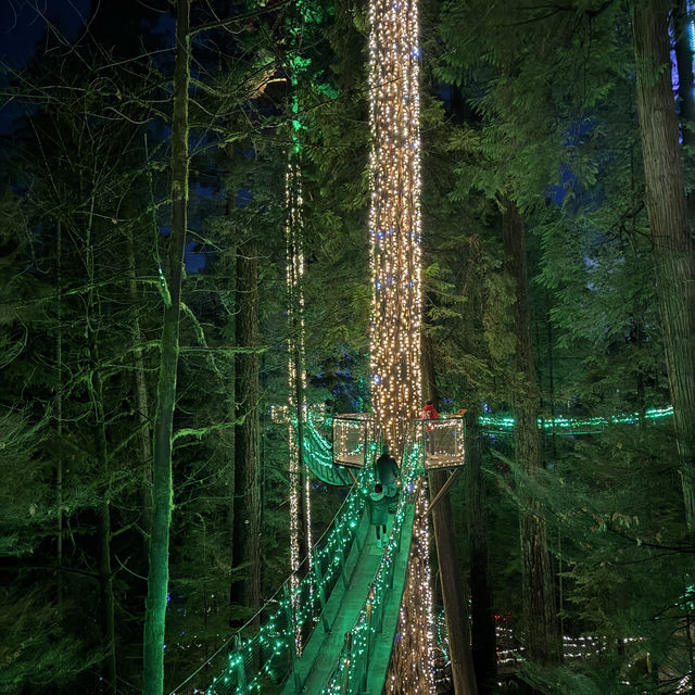 capilano suspension bridge 