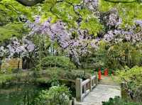 樂水園