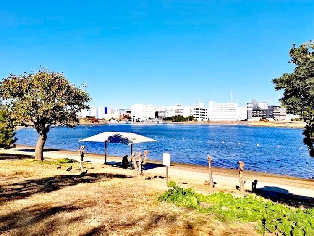 故鄉濱邊公園