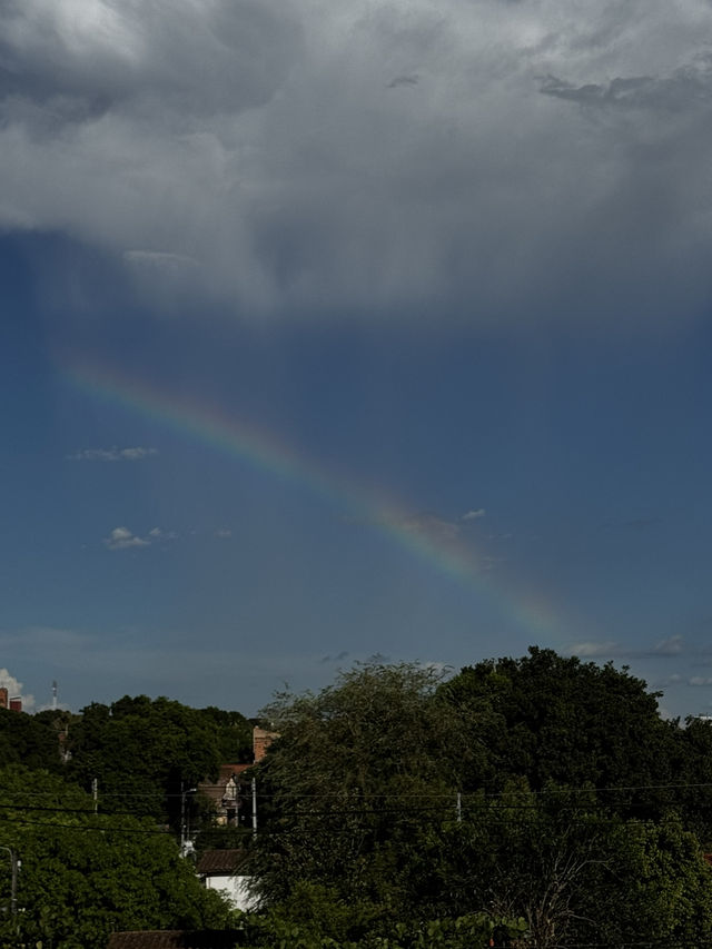 Rainbow ✨🌈