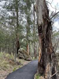 Nature beauty near Canberra