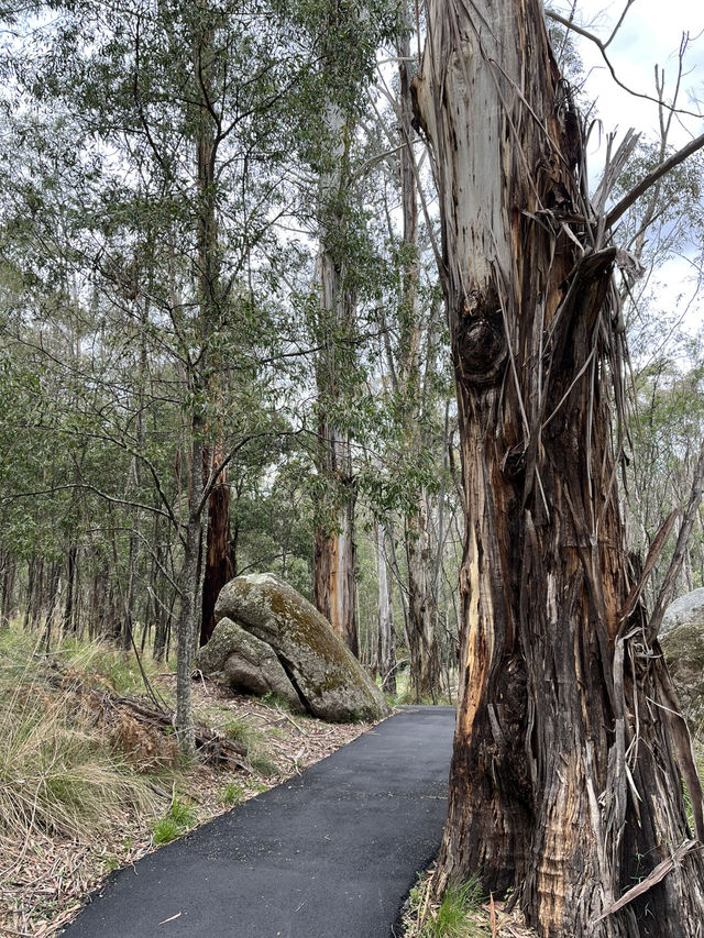 Nature beauty near Canberra