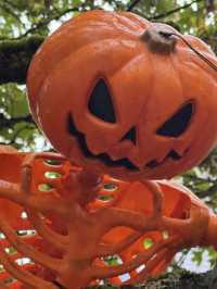 Rainy Seattle Halloween Decorations Starting Now 🌧️ 🎃 