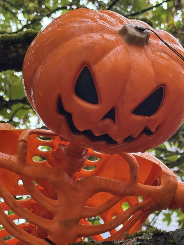 Rainy Seattle Halloween Decorations Starting Now 🌧️ 🎃 