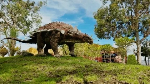 อุทยานยุคครีเทเชียส - รอยเท้าไดโนเสาร์เหนือเมืองซูเคร 🦖🌄 — traveler post in ซูเกร