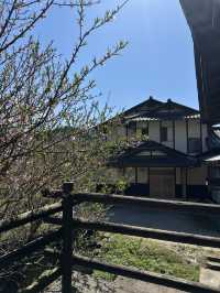 熊本秘境|Oguni Miyahara 小鎮散步一日遊,慢慢走、慢慢吃,感受最舒服的日本鄉村時光