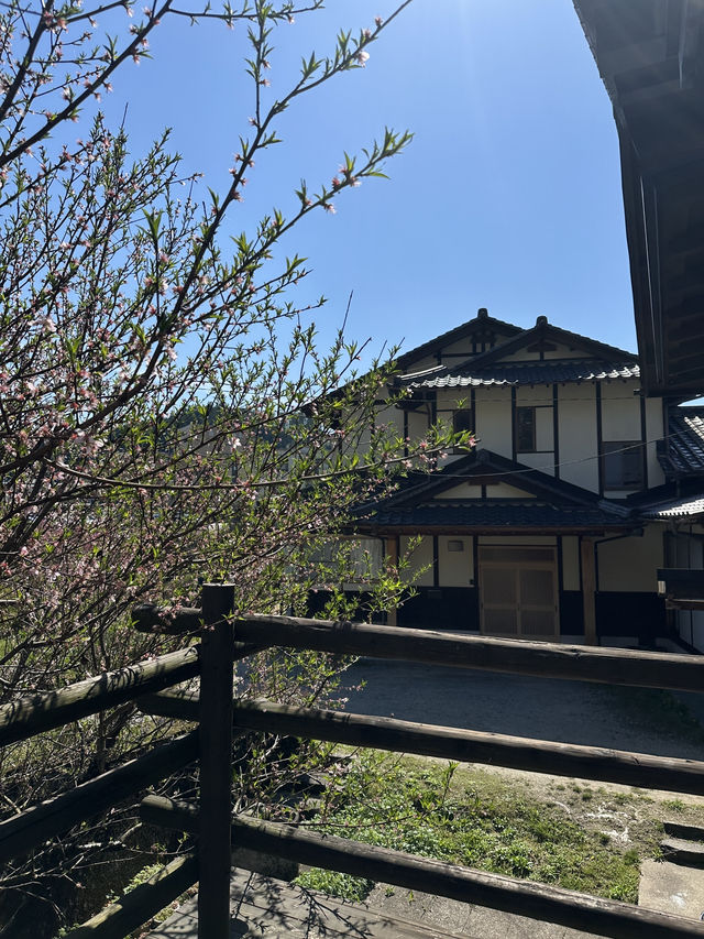 熊本秘境|Oguni Miyahara 小鎮散步一日遊,慢慢走、慢慢吃,感受最舒服的日本鄉村時光