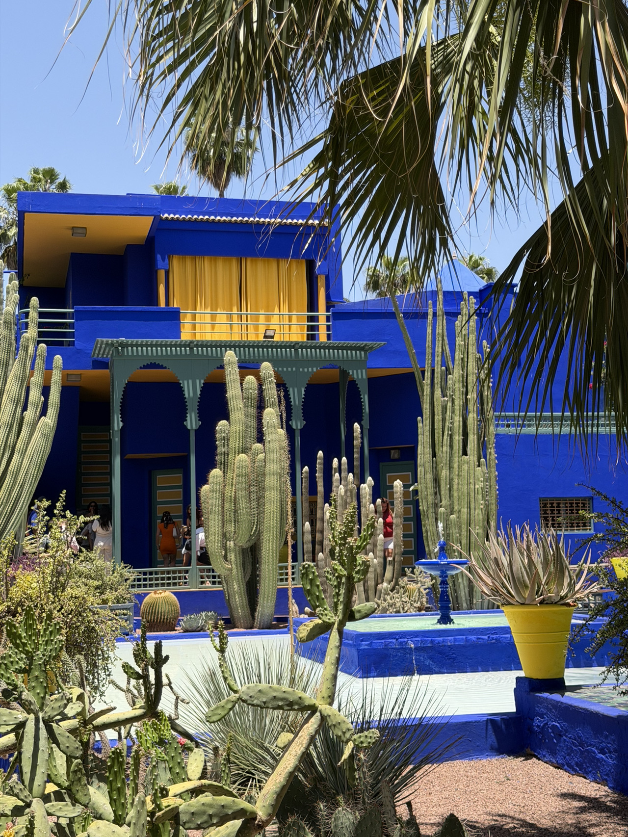 💙 A Blue Oasis in the Heart of Marrakech | Majorelle Garden🇲🇦⛲️