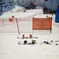 Snow in Dubai - Ski Dubai 🏔️
