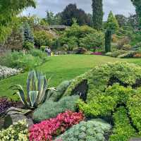 Queen Elizabeth Park Vancouver 🌴🇨🇦