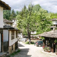 Mexana Bojentsi User Photo