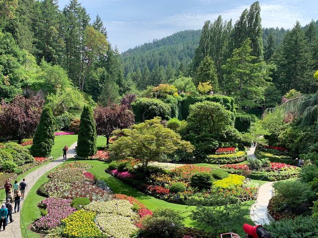 Vancouver: Coastal Harmony 🏞️🏙️