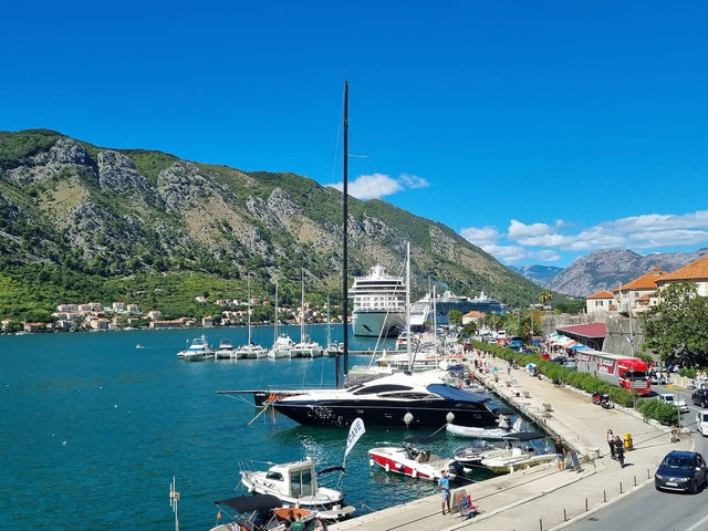 Port of Kotor 🗺️